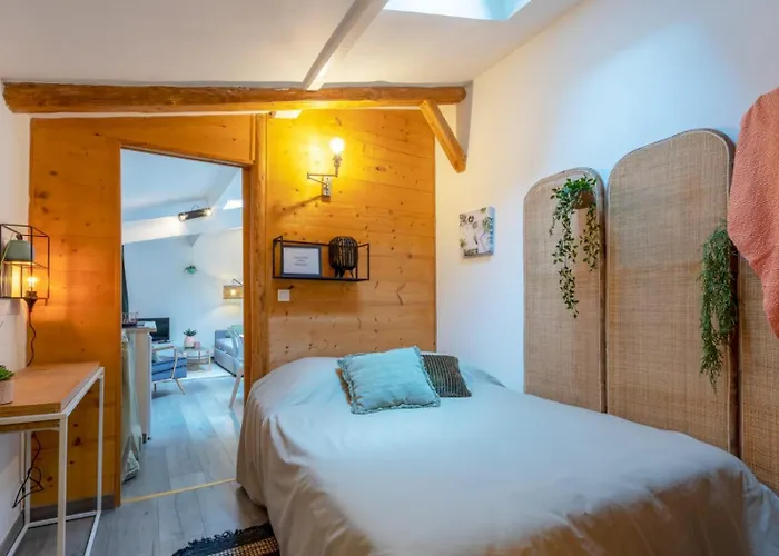 Appartamento Chartreuse, Clim, Parking, Terrasse Au Calme Tolosa