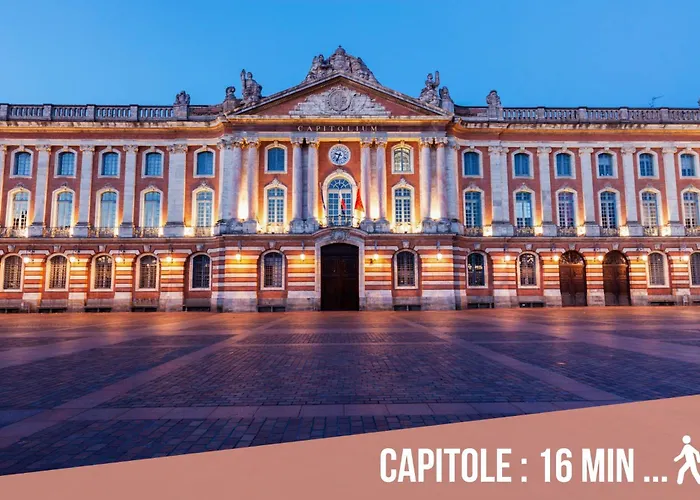 Chartreuse, Clim, Parking, Terrasse Au Calme Toulouse