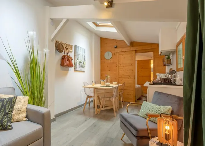 Chartreuse, Clim, Parking, Terrasse Au Calme Toulouse