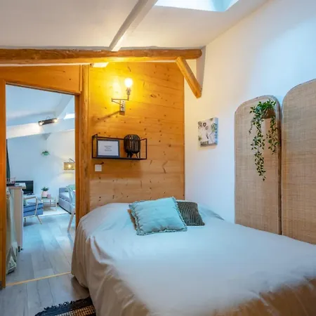 Apartament Chartreuse, Clim, Parking, Terrasse Au Calme Tuluza