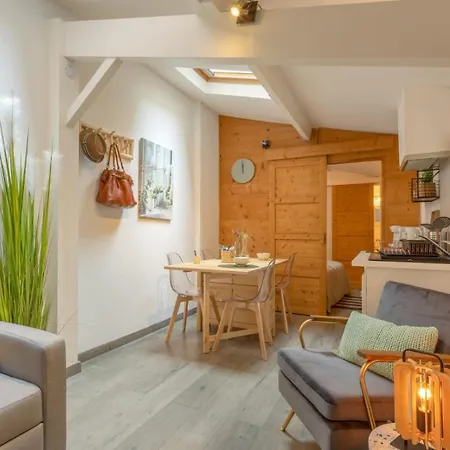 Chartreuse, Clim, Parking, Terrasse Au Calme Tuluza