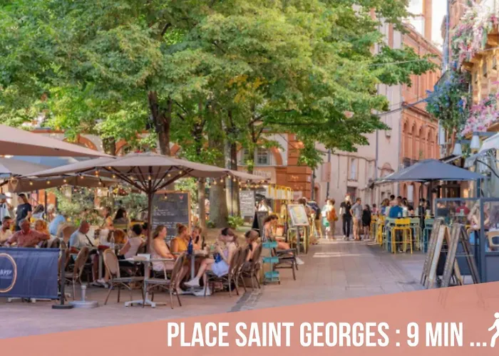 Chartreuse, Clim, Parking, Terrasse Au Calme Апартаменты Тулуза